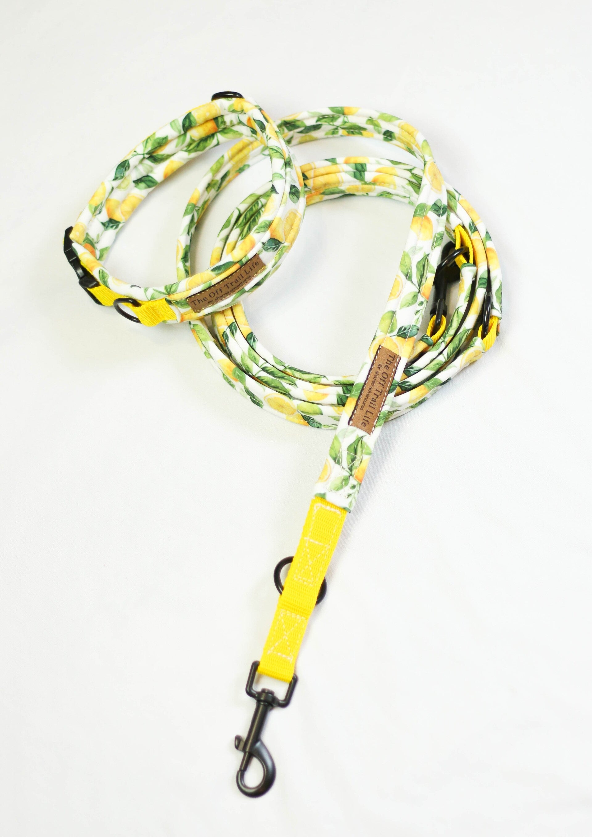Halsband + Leine 'Lemon'