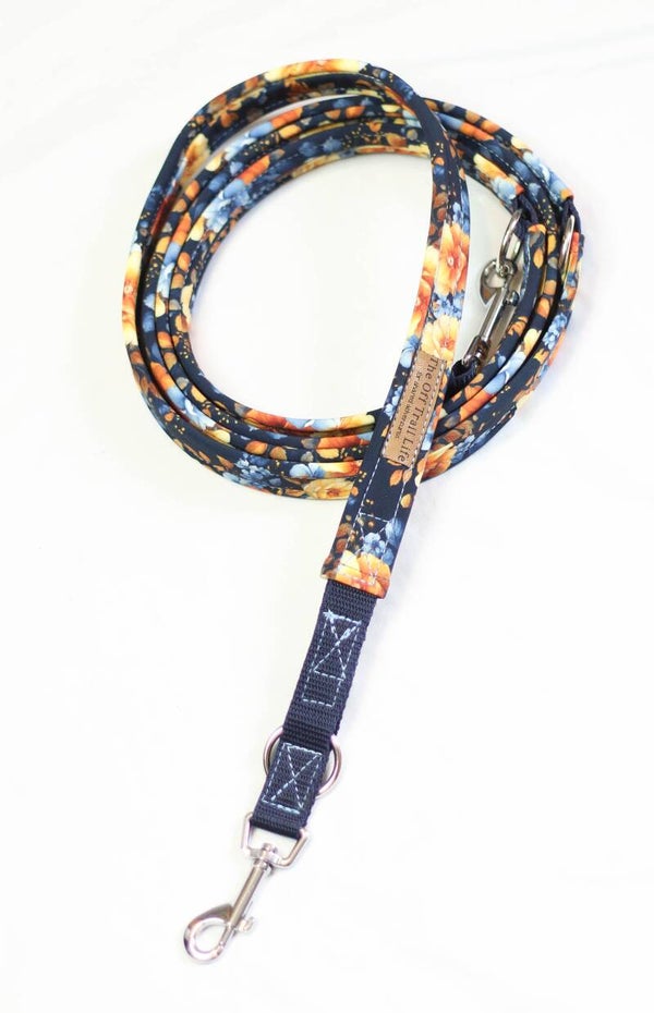 Leine 'Blue & Yellow'