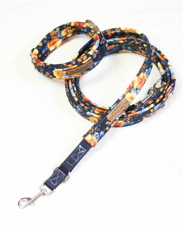 Halsband + Leine 'Blue & Yellow'