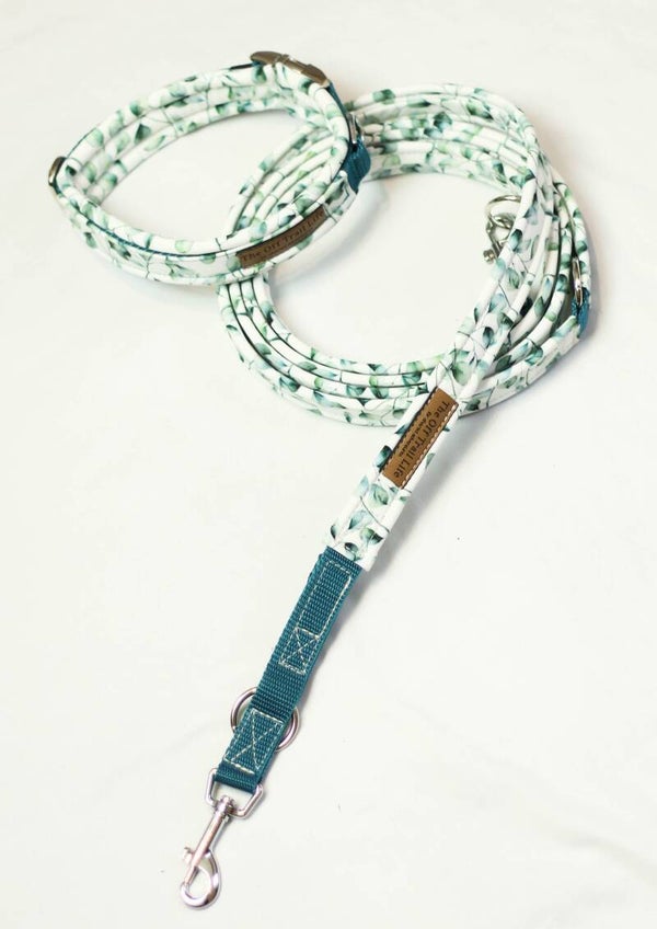 Halsband + Leine 'Eukalyptus'