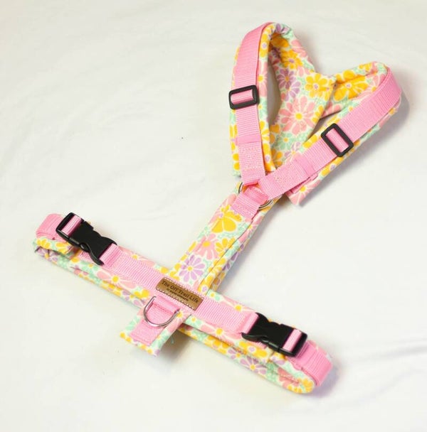 Y-Geschirr 'Colourful'