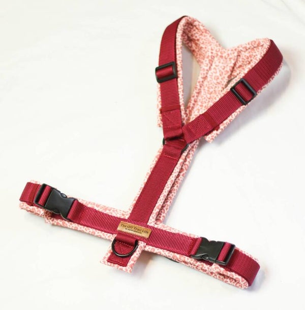 Y-Geschirr 'Red Leo'