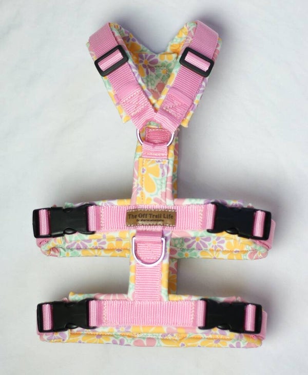 Zusatzoption Sicherheits-Geschirr