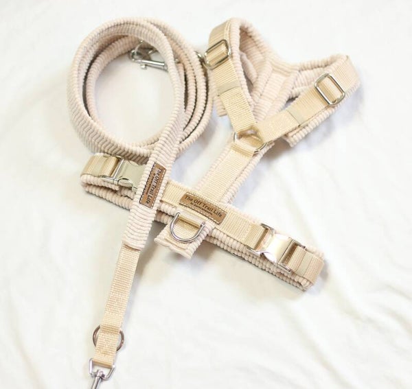 Set 'Creme Cord'