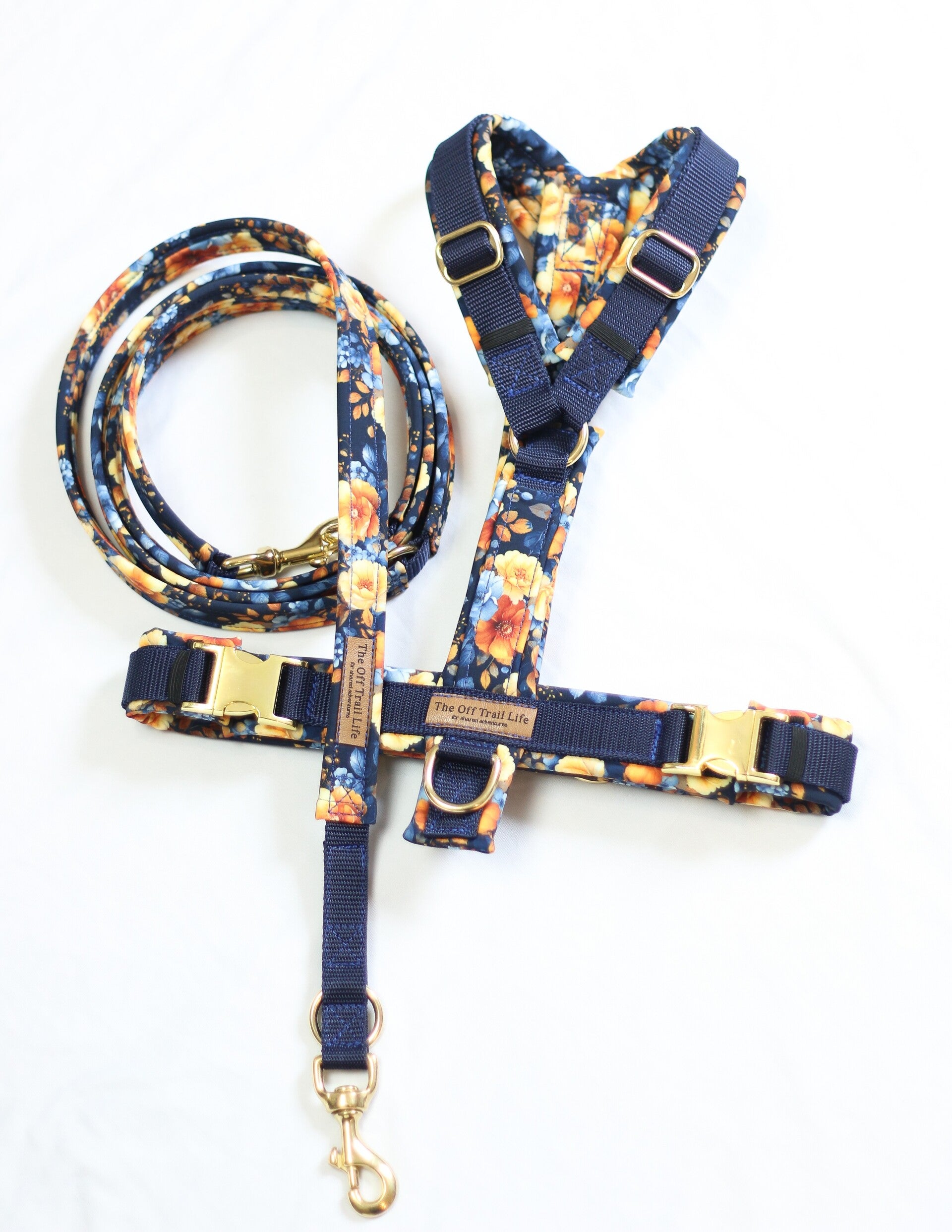 Set 'Blue & Yellow'