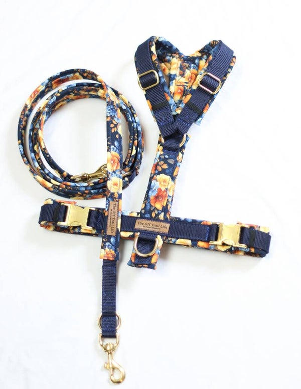Set 'Blue & Yellow'
