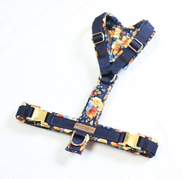 Y-Geschirr 'Blue & Yellow'