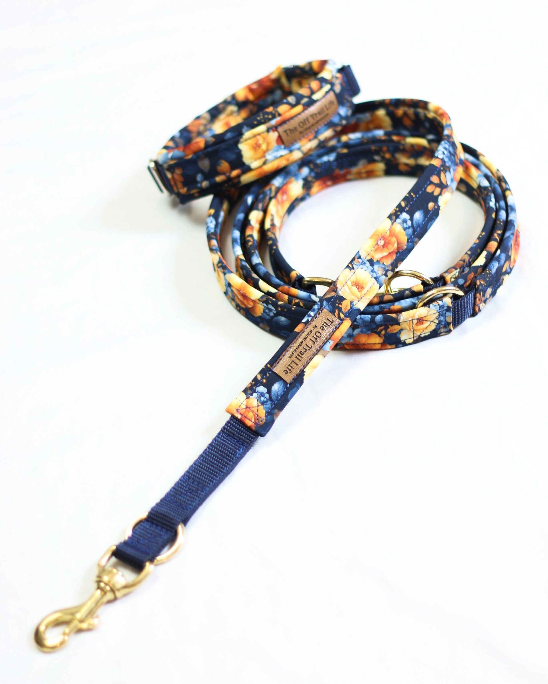Halsband + Leine 'Blue & Yellow'
