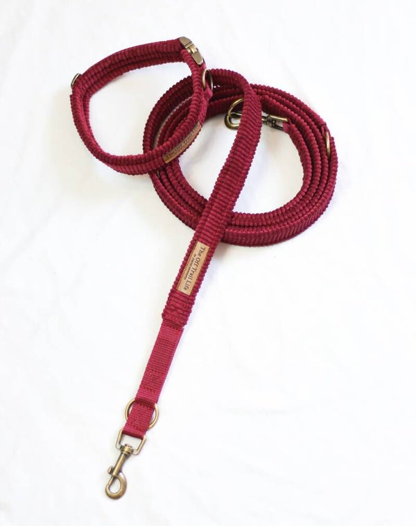 Halsband + Leine 'Bordeaux Cord'