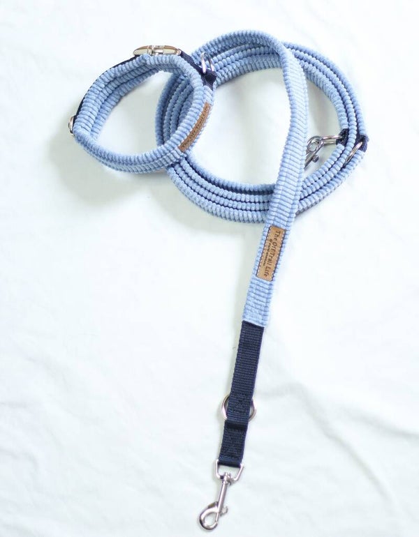 Halsband + Leine 'Blue Cord'