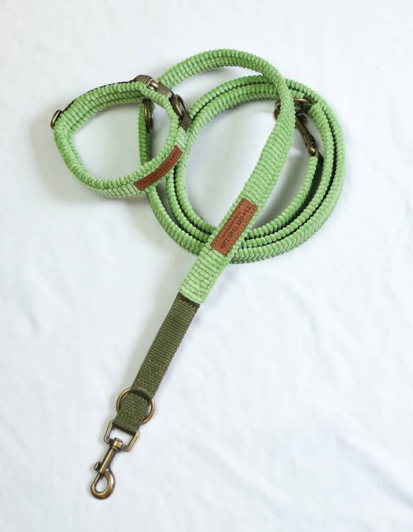 Halsband + Leine 'Kiwi Cord'