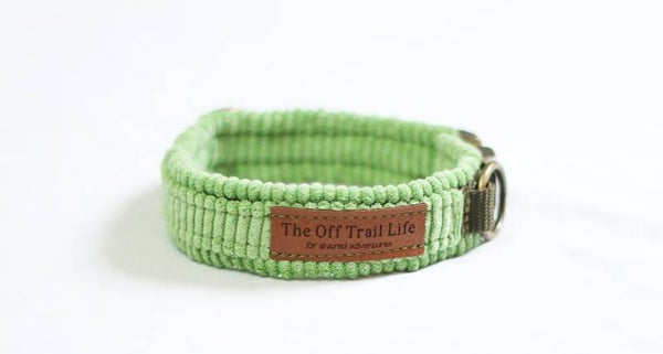 Halsband 'Kiwi Cord'