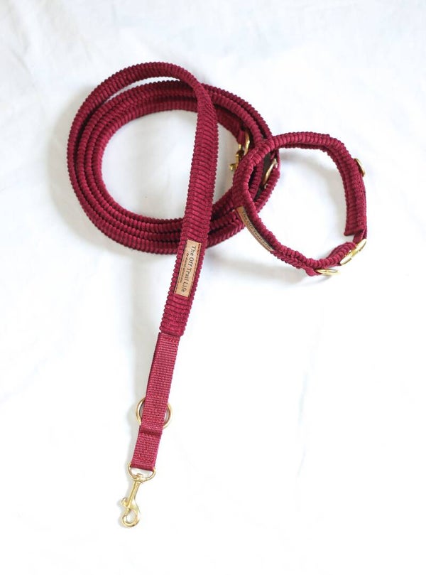 Halsband + Leine 'Bordeaux Cord'