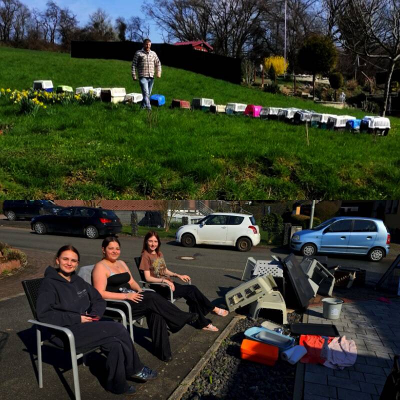 collage-kastrationsaktion-hasselbach-3-standard.jpg