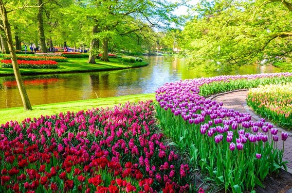 Keukenhof le 24 avril 2027 avec les Voyages de Pascal