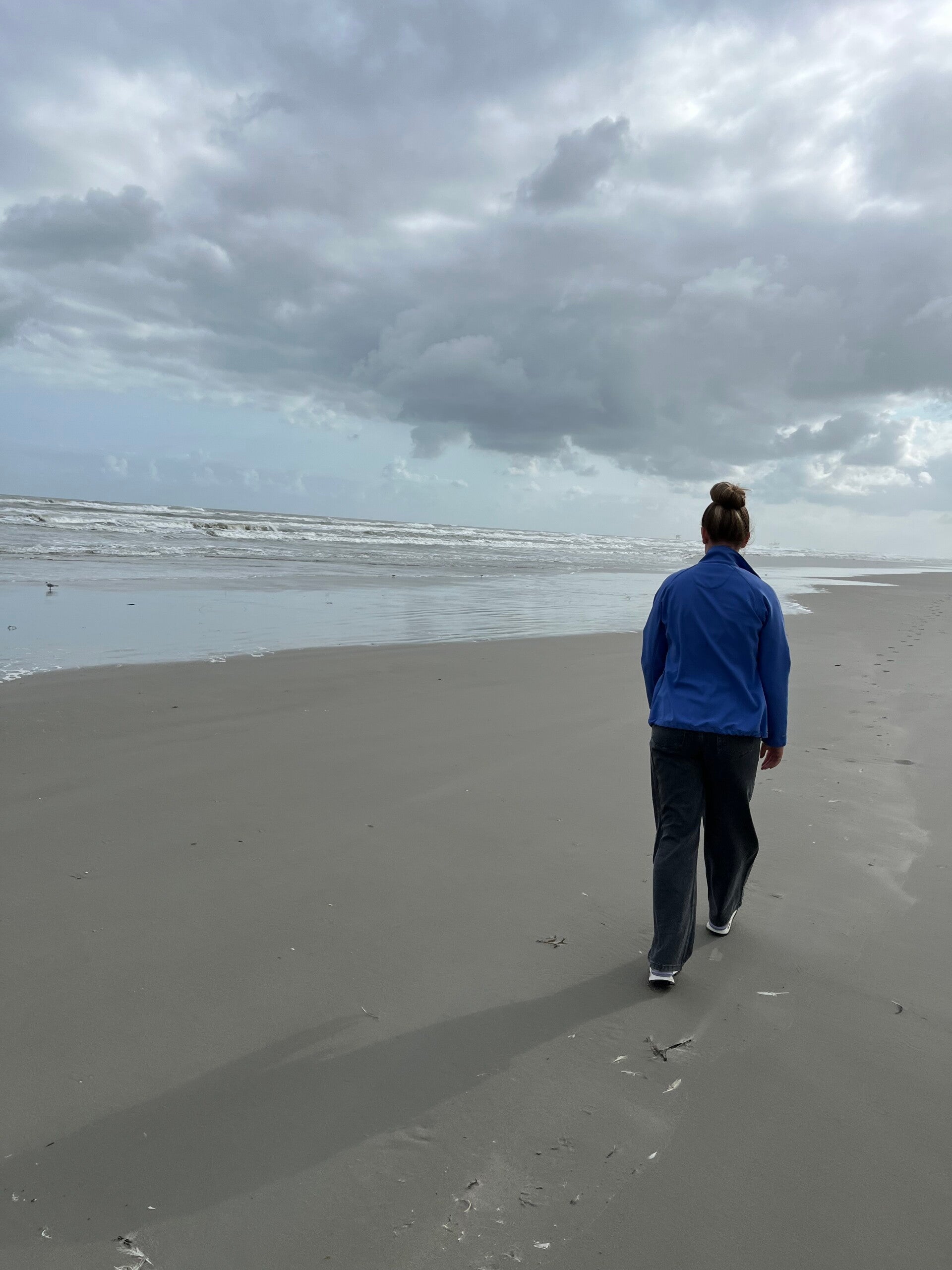 Wandelaar