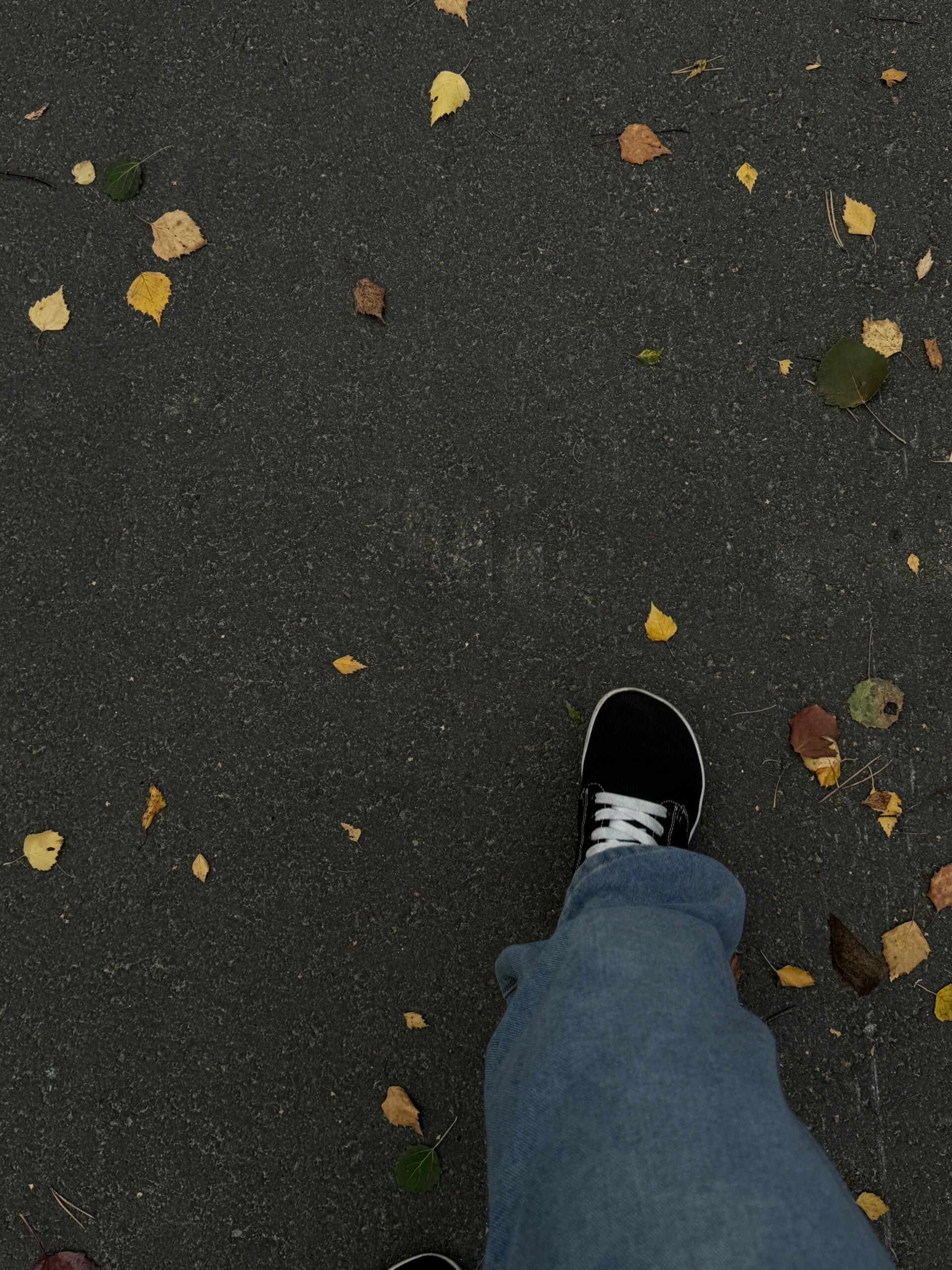 barefoot schoenen