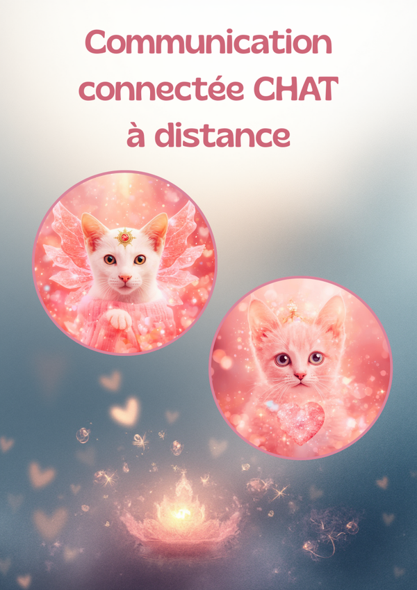 Communication Connectée : CHAT