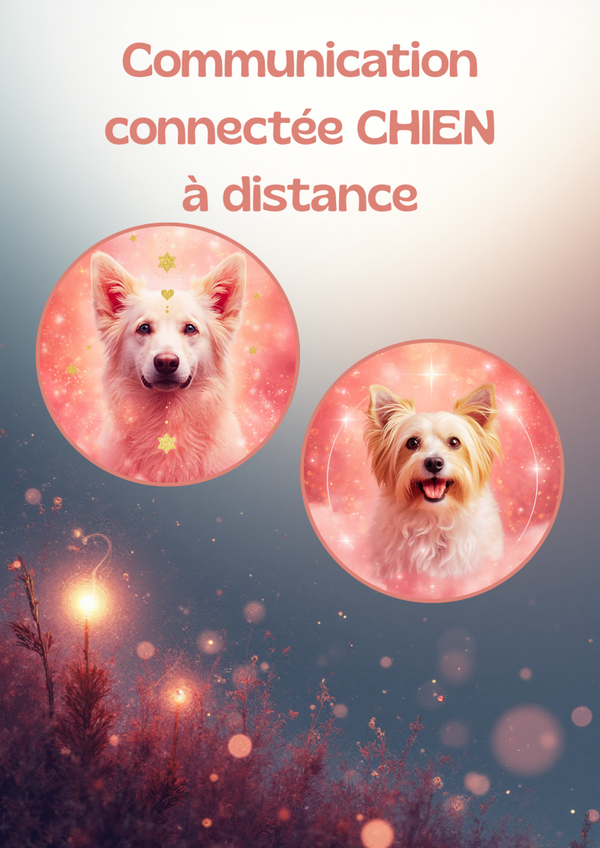 Communication Connectée : CHIEN