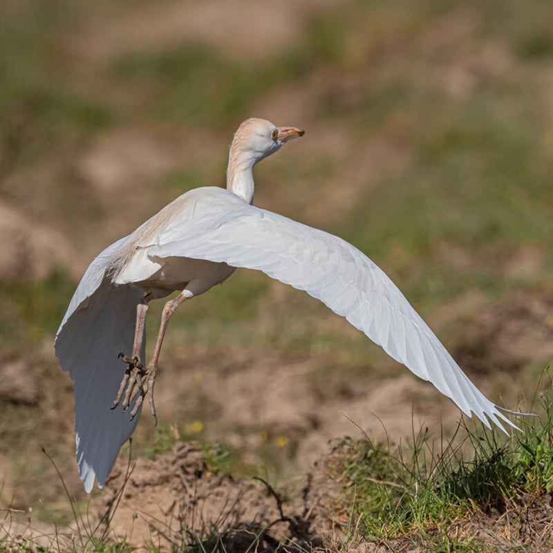 DSC_4035.jpg