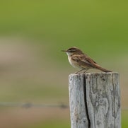 1576317966-4-standard.jpg