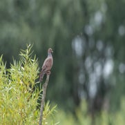 1576317974-2-standard.jpg