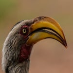 dsc_6739-2.jpg