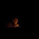 dsc_8119-2-1.jpg