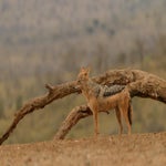 dsc_6613.jpg