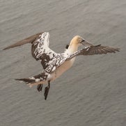 15482381308-1.jpg
