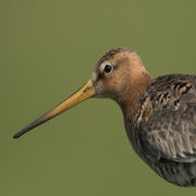 14950264284-1.jpg