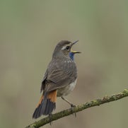 14945999571-1.jpg