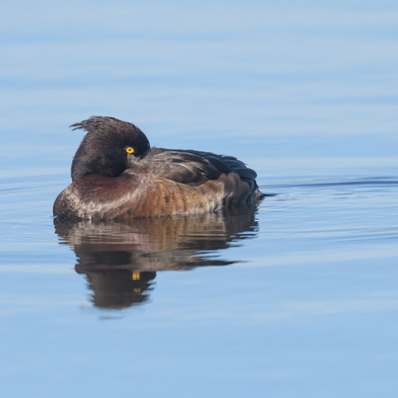 dsc_8507-2.jpg