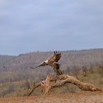 dsc_6592-2.jpg