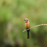 dsc_1404-3.jpg