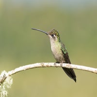 dsc_1887.jpg