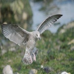 dsc_6266-1.jpg