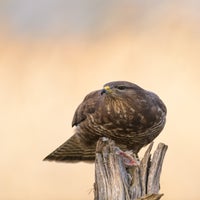 DSC_6706-3.jpg