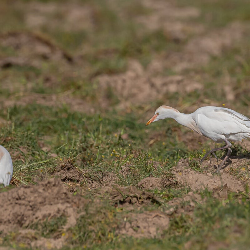 DSC_4041.jpg