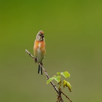 DSC_2386.jpg