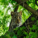 dsc_7715-3.jpg