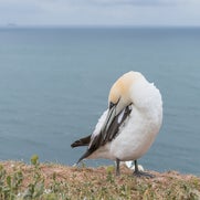 154823813026-1.jpg
