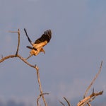 dsc_8973.jpg