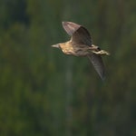 15086203024-1.jpg