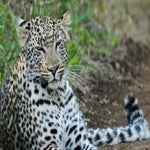 dsc_8058-2.jpg