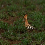 dsc_9580-2.jpg