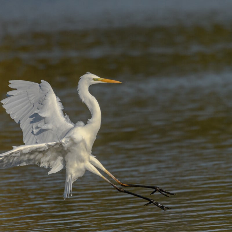 DSC_3009.jpg