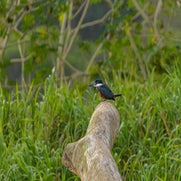 dsc_3530-1.jpg
