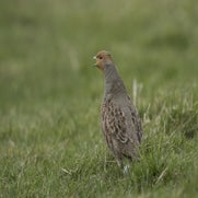 149459994024-1.jpg