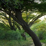 dsc_7704-2.jpg